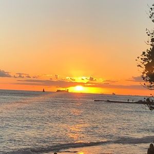 Meet your Posher, Alli